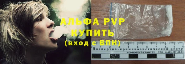 стафф Новодвинск
