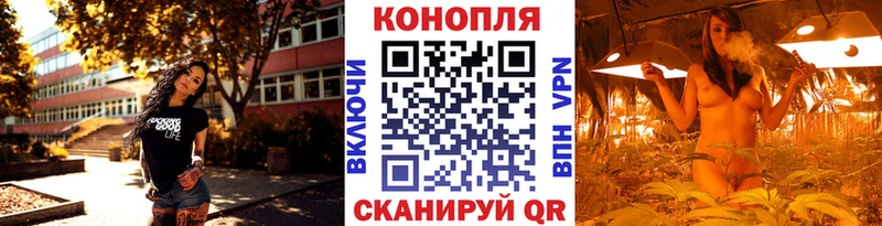 Конопля Ganja Томмот